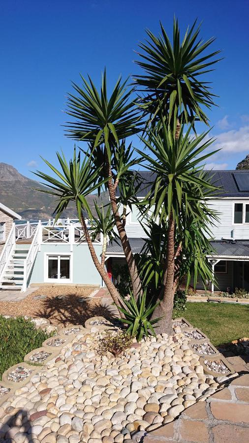 Villa Amanzi Hout Bay Eksteriør billede