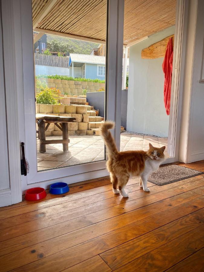 Villa Amanzi Hout Bay Eksteriør billede